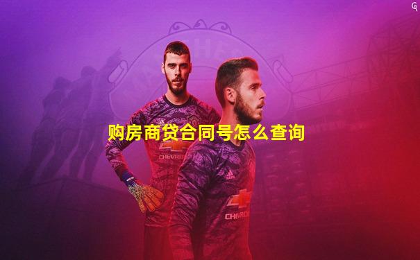 购房商贷合同号怎么查询