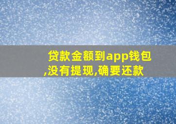 贷款金额到app钱包,没有提现,确要还款