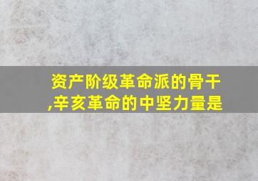 资产阶级革命派的骨干,辛亥革命的中坚力量是