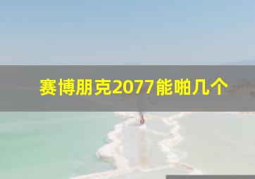 赛博朋克2077能啪几个