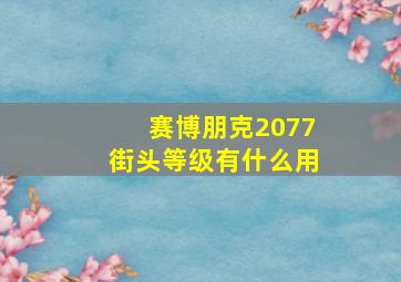 赛博朋克2077街头等级有什么用