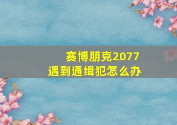 赛博朋克2077遇到通缉犯怎么办