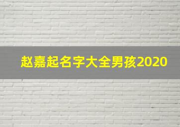 赵嘉起名字大全男孩2020