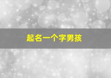 起名一个字男孩