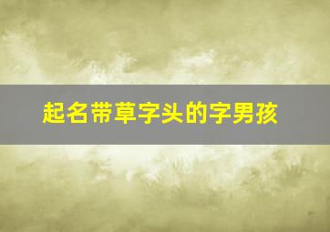 起名带草字头的字男孩