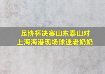 足协杯决赛山东泰山对上海海港现场球迷老奶奶