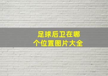 足球后卫在哪个位置图片大全