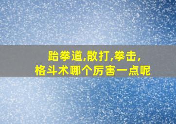 跆拳道,散打,拳击,格斗术哪个厉害一点呢