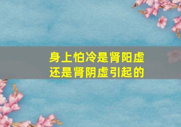 身上怕冷是肾阳虚还是肾阴虚引起的