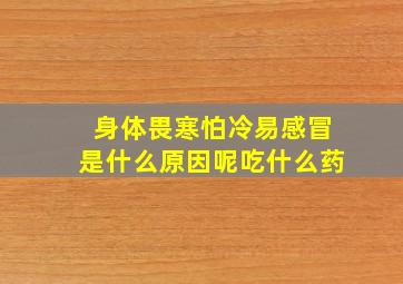 身体畏寒怕冷易感冒是什么原因呢吃什么药