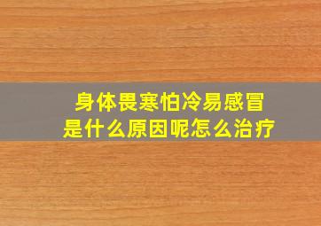 身体畏寒怕冷易感冒是什么原因呢怎么治疗