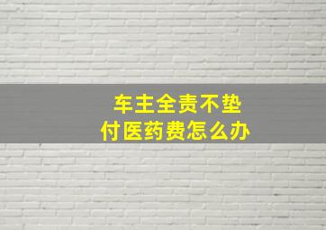 车主全责不垫付医药费怎么办