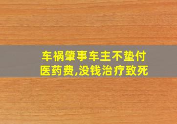 车祸肇事车主不垫付医药费,没钱治疗致死