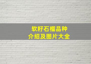 软籽石榴品种介绍及图片大全