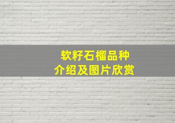 软籽石榴品种介绍及图片欣赏