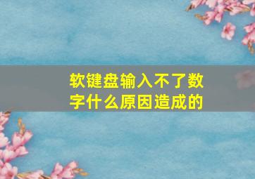 软键盘输入不了数字什么原因造成的