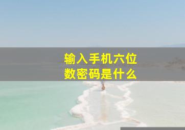 输入手机六位数密码是什么