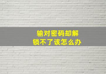 输对密码却解锁不了该怎么办