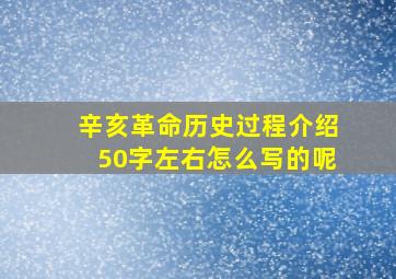 辛亥革命历史过程介绍50字左右怎么写的呢