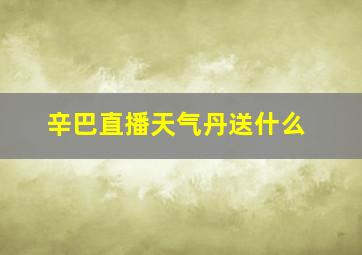 辛巴直播天气丹送什么