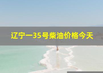 辽宁一35号柴油价格今天