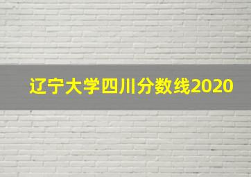 辽宁大学四川分数线2020