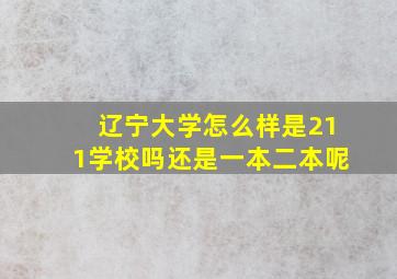 辽宁大学怎么样是211学校吗还是一本二本呢