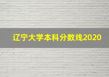 辽宁大学本科分数线2020