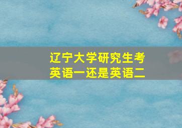 辽宁大学研究生考英语一还是英语二