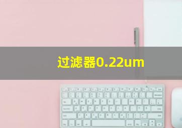 过滤器0.22um