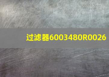 过滤器6003480R0026