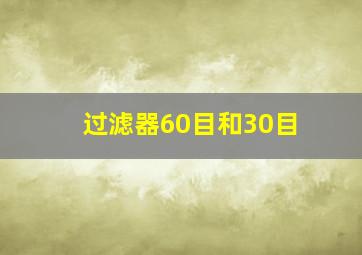 过滤器60目和30目