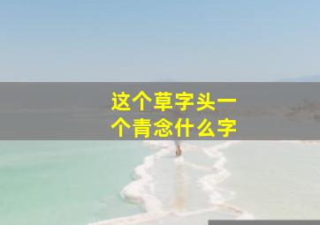 这个草字头一个青念什么字