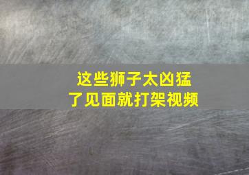 这些狮子太凶猛了见面就打架视频