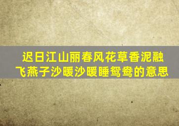 迟日江山丽春风花草香泥融飞燕子沙暖沙暖睡鸳鸯的意思