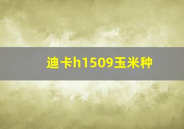 迪卡h1509玉米种