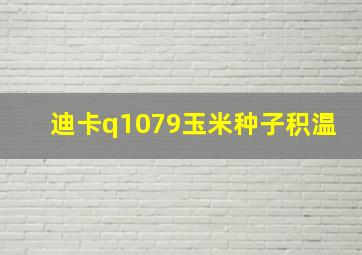 迪卡q1079玉米种子积温