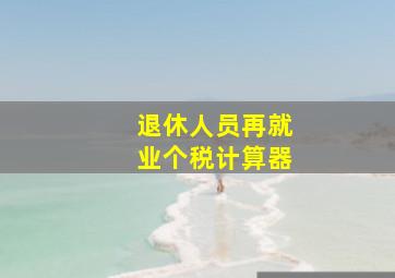 退休人员再就业个税计算器