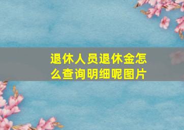 退休人员退休金怎么查询明细呢图片