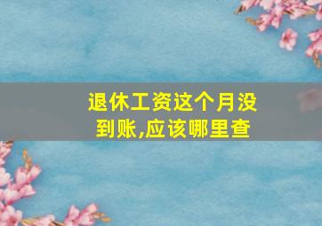 退休工资这个月没到账,应该哪里查