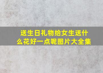 送生日礼物给女生送什么花好一点呢图片大全集