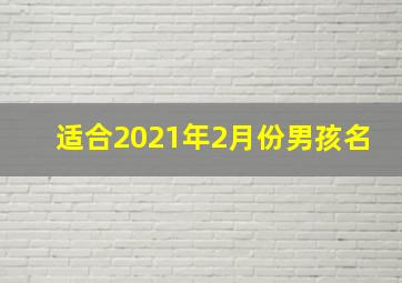 适合2021年2月份男孩名