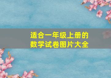 适合一年级上册的数学试卷图片大全