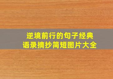 逆境前行的句子经典语录摘抄简短图片大全