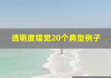 透明度错觉20个典型例子