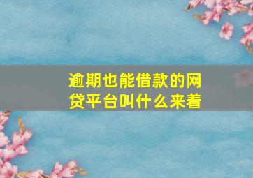 逾期也能借款的网贷平台叫什么来着