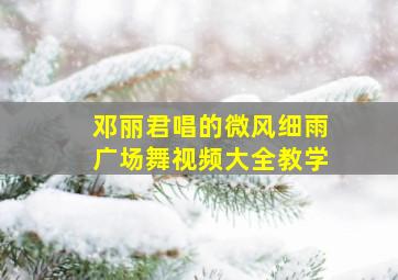 邓丽君唱的微风细雨广场舞视频大全教学