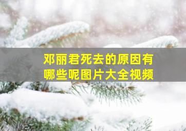 邓丽君死去的原因有哪些呢图片大全视频