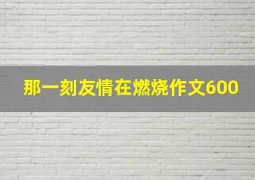 那一刻友情在燃烧作文600