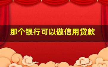 那个银行可以做信用贷款